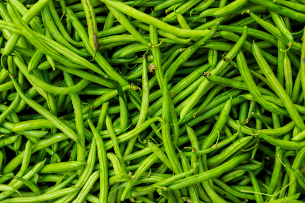 Beans - Fresh Produce