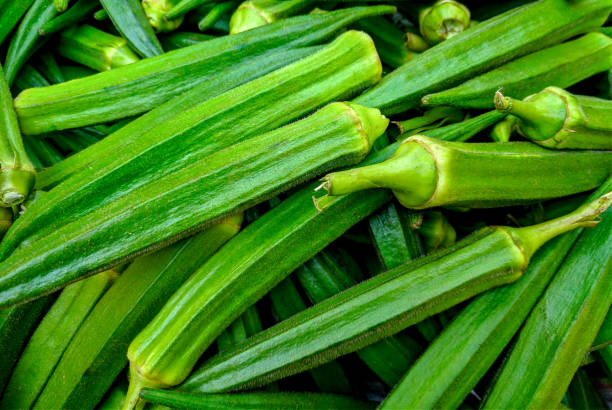 Bhindi - Fresh Produce