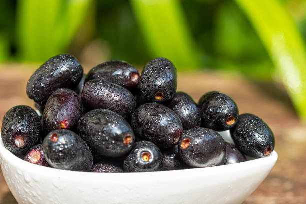 Jamun - Fresh Produce