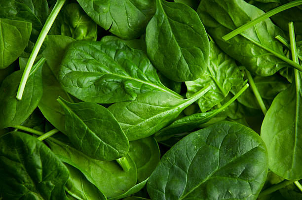 Spinach - Fresh Produce