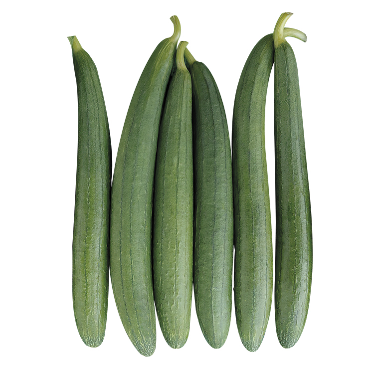 Sponge Gourd - Fresh Produce